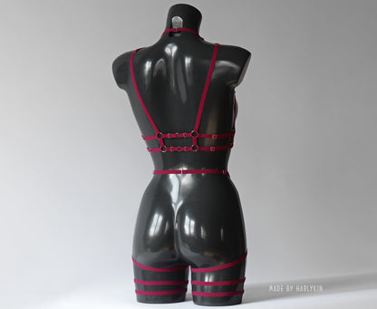 Harness garters belt